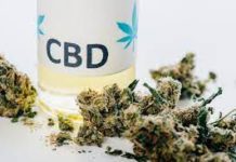 VIE SOCIALE : Consommer du CBD expose au délit de conduite après usage de stupéfiants