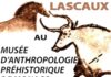 MONACO : Le Musée d’Anthropologie Préhistorique vous ouvre ses portes !
