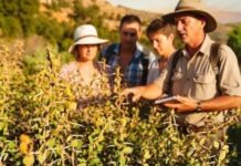 CANNES / ANTIBES / GRASSE – Jardins en fête, lyrique et spectacles : un week-end culturel sous toutes ses formes