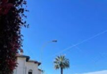 CÔTE D’AZUR – L’avenue la plus chère de Nice