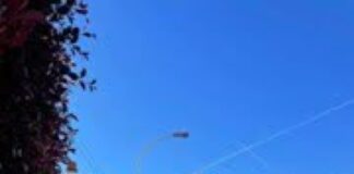 CÔTE D’AZUR – L’avenue la plus chère de Nice