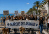 NICE – La Marche des Animaux revient sur la Promenade des Anglais : une ville qui veut faire du bien-être animal un marqueur politique