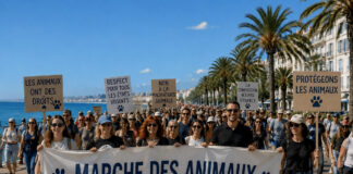 NICE – La Marche des Animaux revient sur la Promenade des Anglais : une ville qui veut faire du bien-être animal un marqueur politique