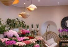 ALPES-MARITIMES – « Elle veut me détruire » : à Nice, le cauchemar d’une fleuriste harcelée depuis des mois relance la question de la protection des commerçants