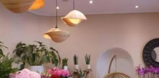 ALPES-MARITIMES – « Elle veut me détruire » : à Nice, le cauchemar d’une fleuriste harcelée depuis des mois relance la question de la protection des commerçants