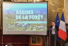 Alpes-Maritimes – Face au changement climatique, l’État dévoile une feuille de route ambitieuse pour sauver la forêt d’ici 2035