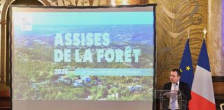 Alpes-Maritimes – Face au changement climatique, l’État dévoile une feuille de route ambitieuse pour sauver la forêt d’ici 2035